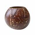 Coconut shell Planters
