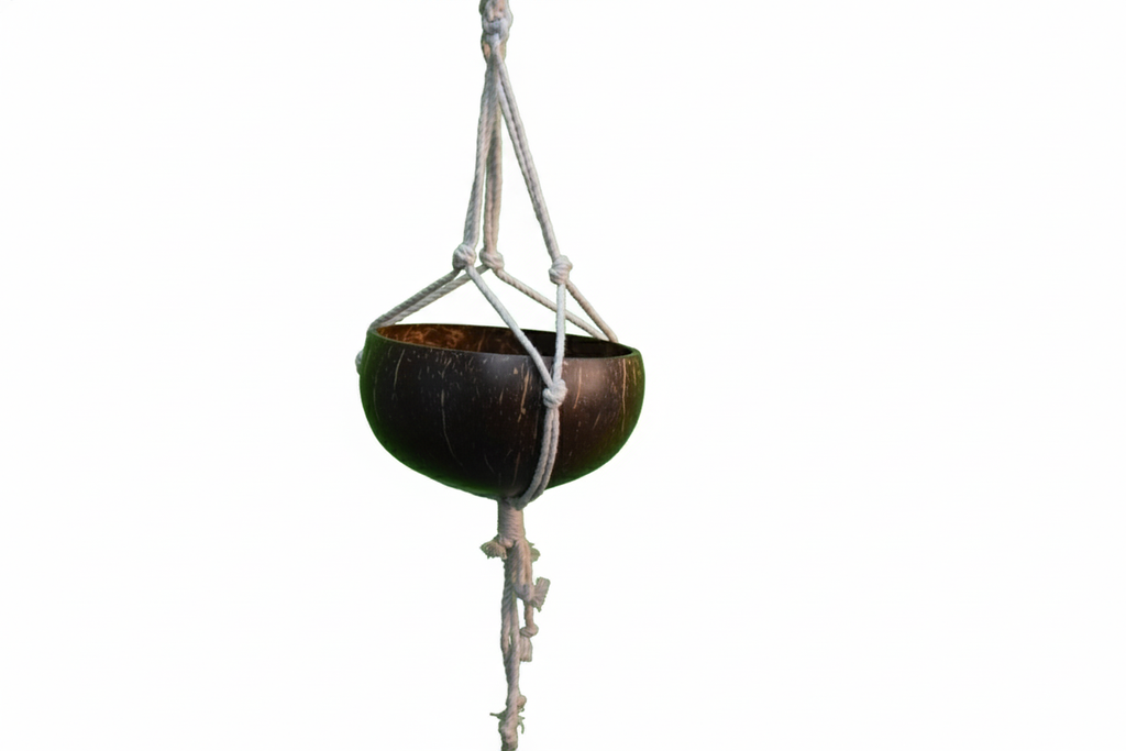 Coconut shell Planters