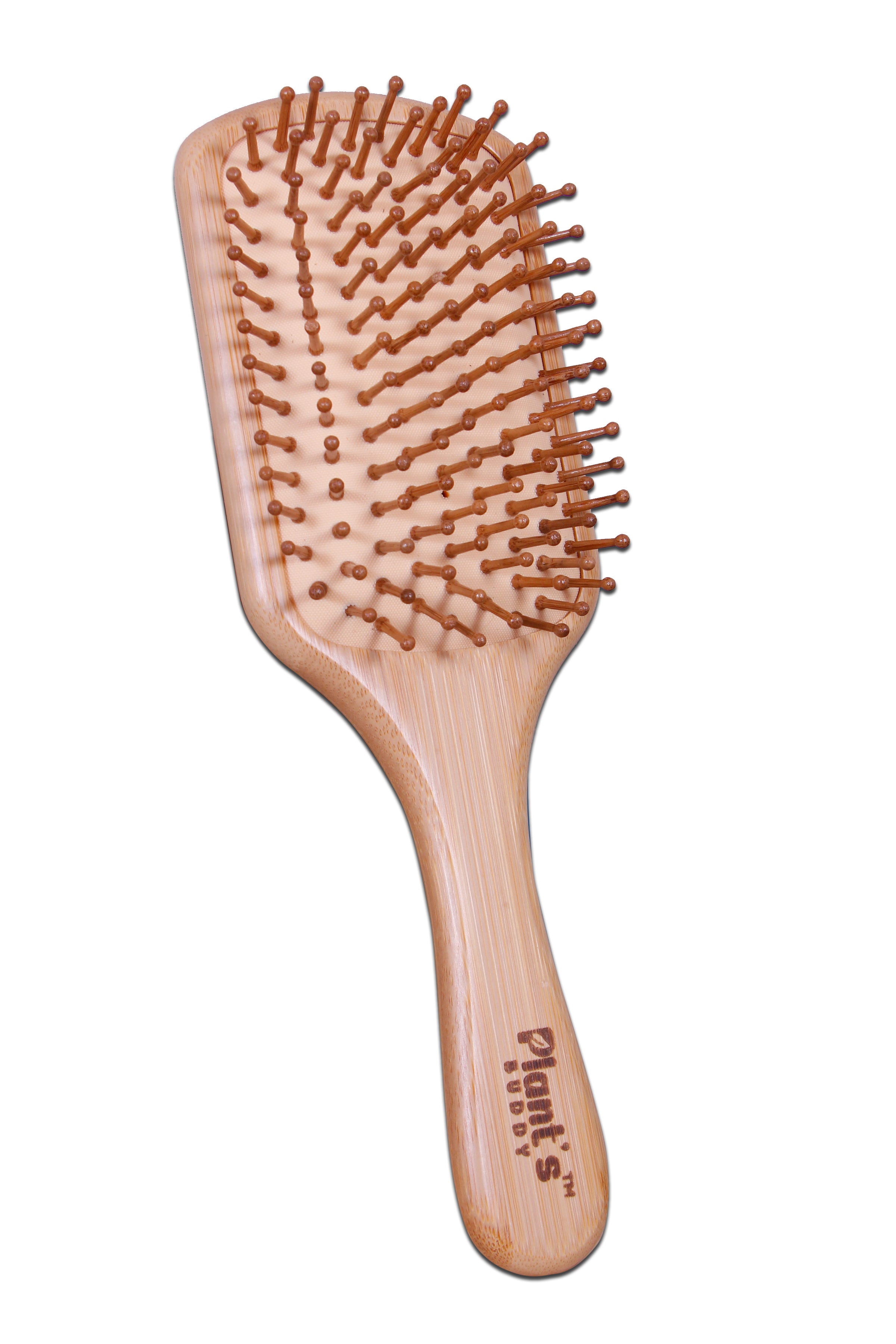 Paddle brush